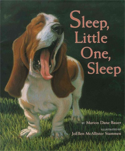 Sleep, little one, Sleep / by Marion Dane Bauer ; illustrated by JoEllen McAllister Stammen.