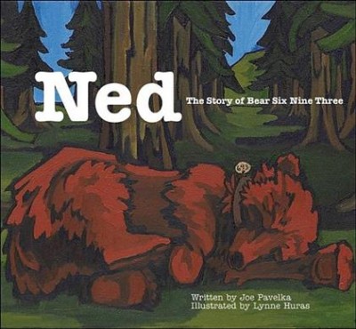 Ned : the story of bear six nine three written by Joe Pavelka ; illustrated by Lynne Huras.