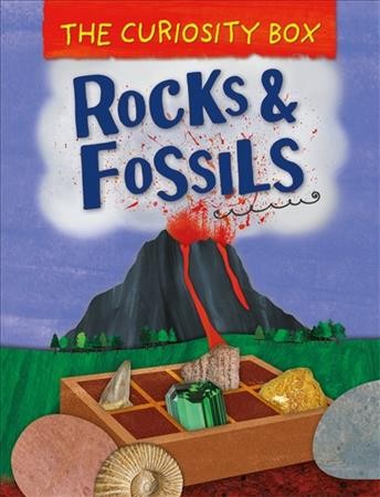 The curiosity box : rocks & fossils / by Peter Riley ; illustrated by Krina Patel.