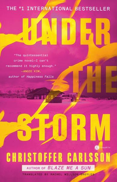 Under the storm : a novel / Christoffer Carlsson ; translated from the Swedish by Rachel Willson-Broyles.