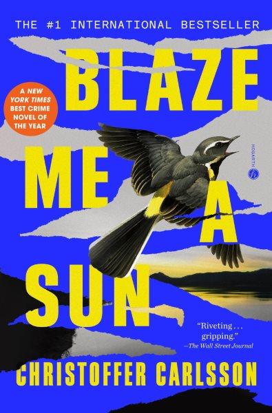 Blaze me a sun : a novel about a crime / Christoffer Carlsson ; translated by Rachel Willson-Broyles.