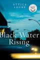 Black water rising : a novel  Cover Image