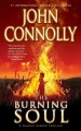 The burning soul : a thriller  Cover Image
