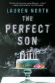 Go to record The perfect son : a novel