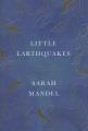 Go to record Little earthquakes : a memoir